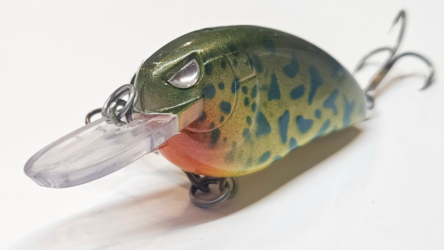 SDV Shad